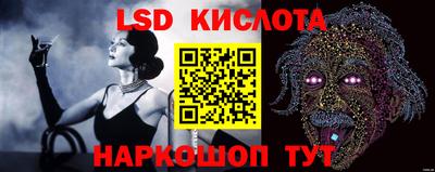 спиды Славгород