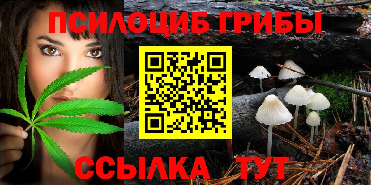Галлюциногенные грибы GOLDEN TEACHER  Вход с VPN  Нижнеудинск  Галлюциногенные грибы GOLDEN TEACHER 