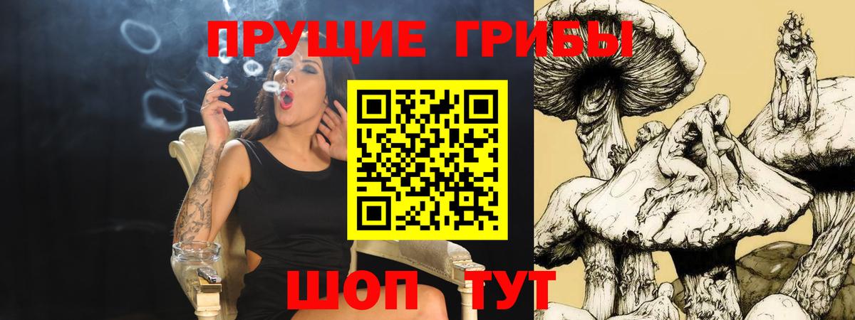 Галлюциногенные грибы GOLDEN TEACHER Нижнеудинск